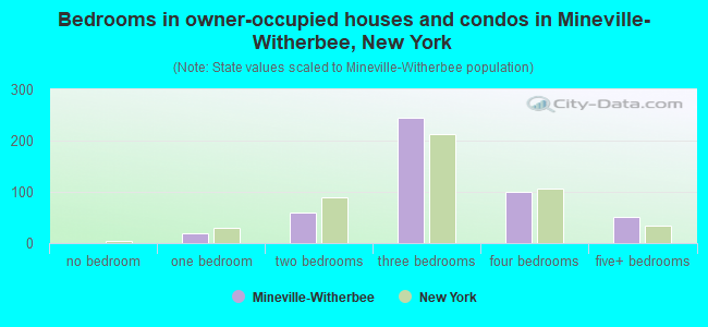 Bedrooms in owner-occupied houses and condos in Mineville-Witherbee, New York