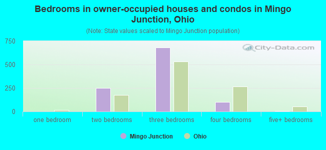 Bedrooms in owner-occupied houses and condos in Mingo Junction, Ohio