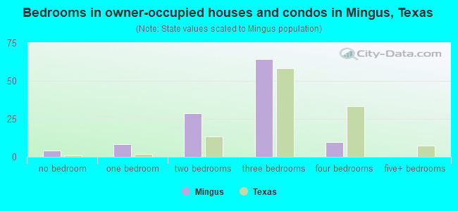 Bedrooms in owner-occupied houses and condos in Mingus, Texas