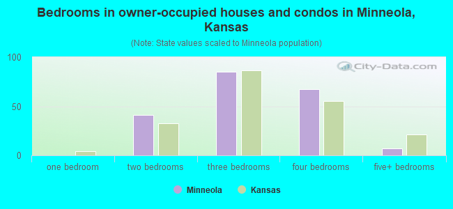 Bedrooms in owner-occupied houses and condos in Minneola, Kansas