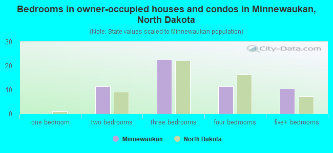 Bedrooms in owner-occupied houses and condos in Minnewaukan, North Dakota