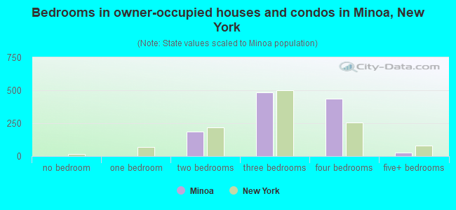 Bedrooms in owner-occupied houses and condos in Minoa, New York