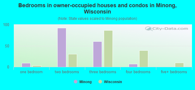 Bedrooms in owner-occupied houses and condos in Minong, Wisconsin