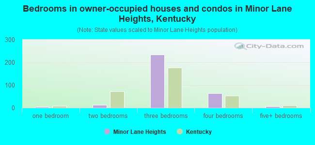 Bedrooms in owner-occupied houses and condos in Minor Lane Heights, Kentucky