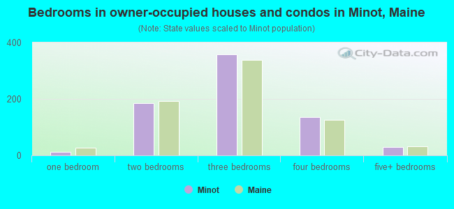 Bedrooms in owner-occupied houses and condos in Minot, Maine