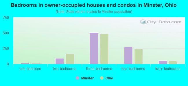 Bedrooms in owner-occupied houses and condos in Minster, Ohio