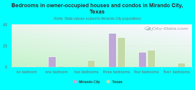 Bedrooms in owner-occupied houses and condos in Mirando City, Texas