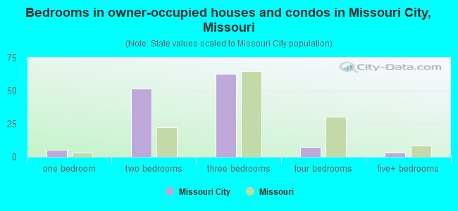 Bedrooms in owner-occupied houses and condos in Missouri City, Missouri