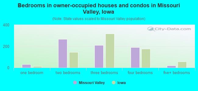 Bedrooms in owner-occupied houses and condos in Missouri Valley, Iowa
