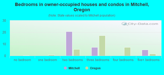 Bedrooms in owner-occupied houses and condos in Mitchell, Oregon