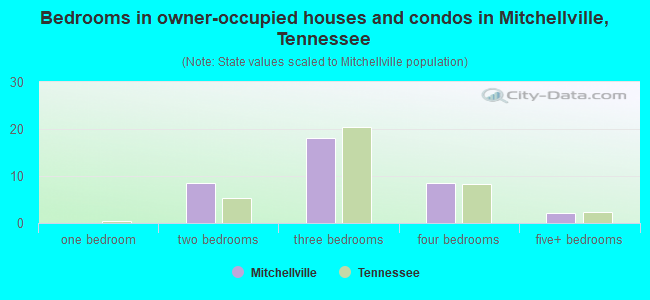 Bedrooms in owner-occupied houses and condos in Mitchellville, Tennessee