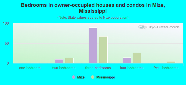 Bedrooms in owner-occupied houses and condos in Mize, Mississippi