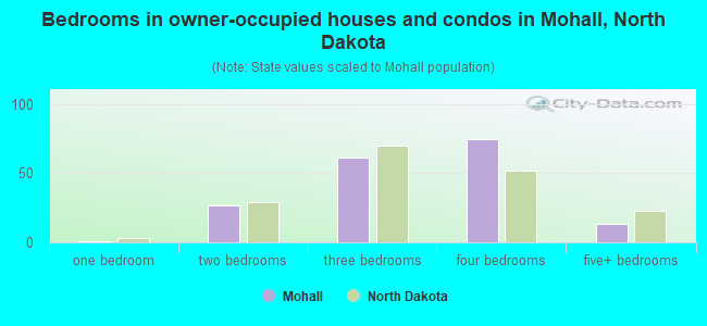 Bedrooms in owner-occupied houses and condos in Mohall, North Dakota