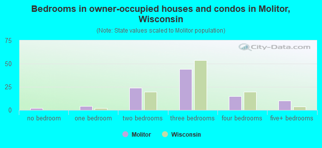 Bedrooms in owner-occupied houses and condos in Molitor, Wisconsin