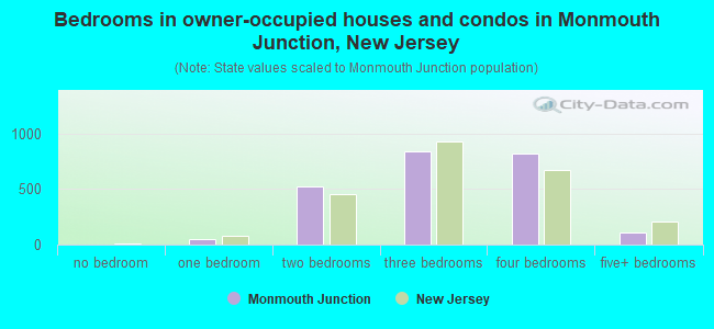 Bedrooms in owner-occupied houses and condos in Monmouth Junction, New Jersey