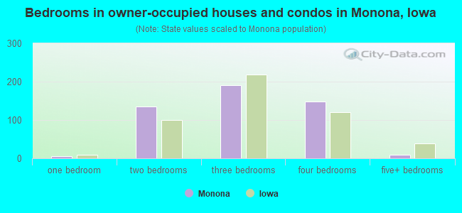 Bedrooms in owner-occupied houses and condos in Monona, Iowa