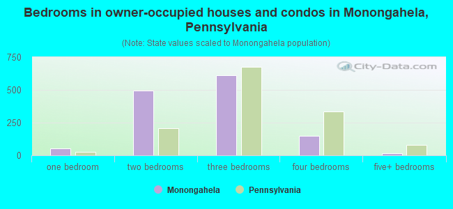 Bedrooms in owner-occupied houses and condos in Monongahela, Pennsylvania