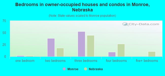 Bedrooms in owner-occupied houses and condos in Monroe, Nebraska