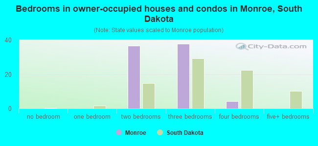Bedrooms in owner-occupied houses and condos in Monroe, South Dakota