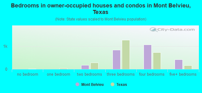 Bedrooms in owner-occupied houses and condos in Mont Belvieu, Texas