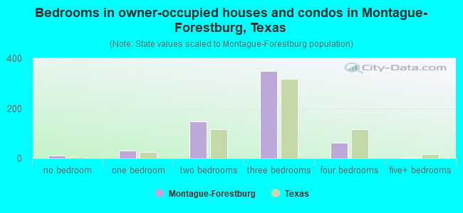 Bedrooms in owner-occupied houses and condos in Montague-Forestburg, Texas