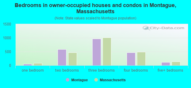 Bedrooms in owner-occupied houses and condos in Montague, Massachusetts