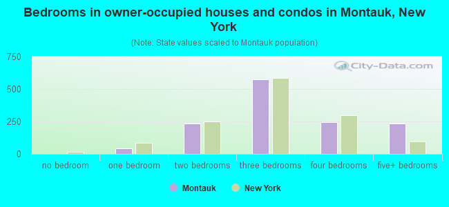 Bedrooms in owner-occupied houses and condos in Montauk, New York