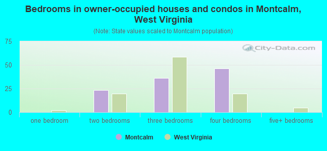 Bedrooms in owner-occupied houses and condos in Montcalm, West Virginia