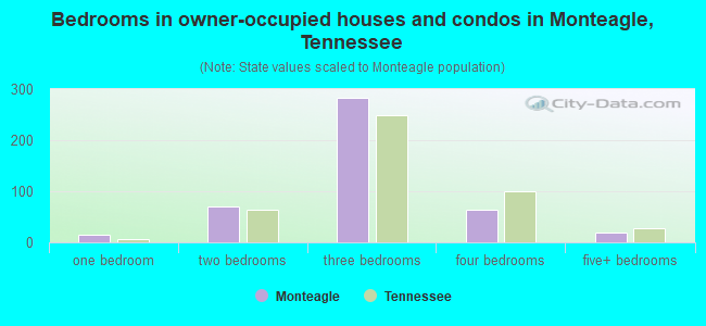 Bedrooms in owner-occupied houses and condos in Monteagle, Tennessee