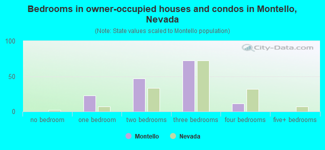 Bedrooms in owner-occupied houses and condos in Montello, Nevada