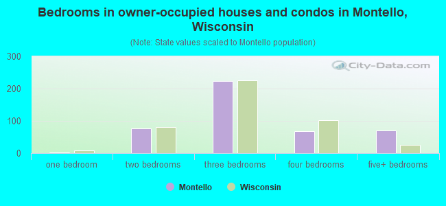 Bedrooms in owner-occupied houses and condos in Montello, Wisconsin