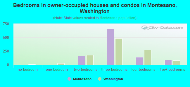 Bedrooms in owner-occupied houses and condos in Montesano, Washington