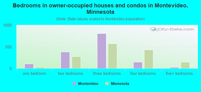 Bedrooms in owner-occupied houses and condos in Montevideo, Minnesota