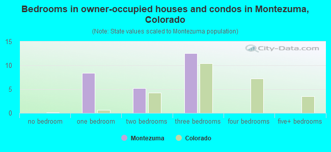 Bedrooms in owner-occupied houses and condos in Montezuma, Colorado