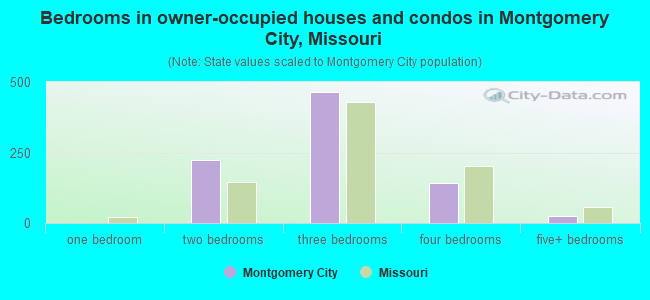 Bedrooms in owner-occupied houses and condos in Montgomery City, Missouri