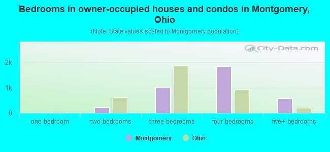 Bedrooms in owner-occupied houses and condos in Montgomery, Ohio