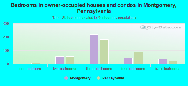Bedrooms in owner-occupied houses and condos in Montgomery, Pennsylvania