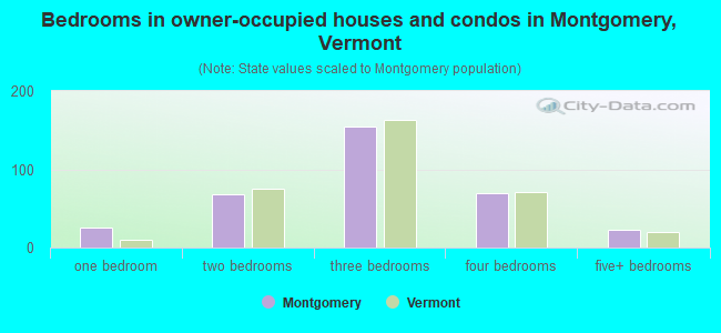 Bedrooms in owner-occupied houses and condos in Montgomery, Vermont