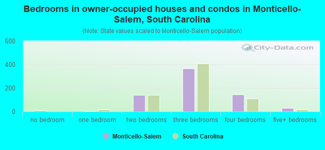 Bedrooms in owner-occupied houses and condos in Monticello-Salem, South Carolina