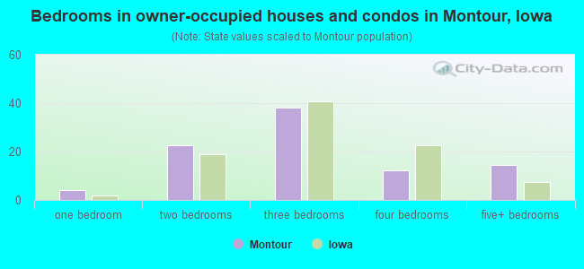 Bedrooms in owner-occupied houses and condos in Montour, Iowa