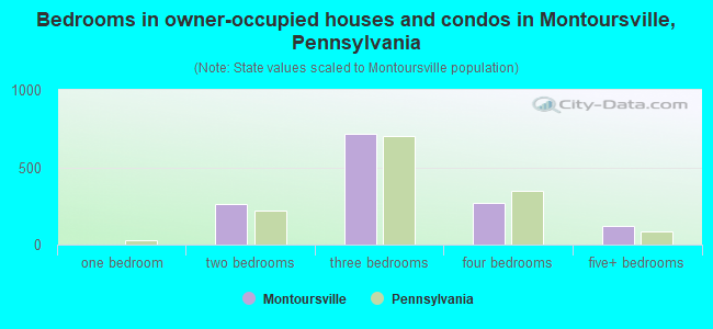 Bedrooms in owner-occupied houses and condos in Montoursville, Pennsylvania