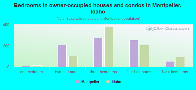 Bedrooms in owner-occupied houses and condos in Montpelier, Idaho