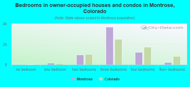 Bedrooms in owner-occupied houses and condos in Montrose, Colorado