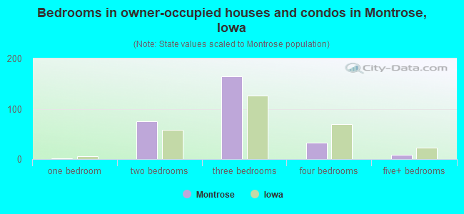 Bedrooms in owner-occupied houses and condos in Montrose, Iowa
