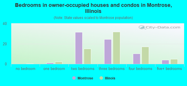 Bedrooms in owner-occupied houses and condos in Montrose, Illinois