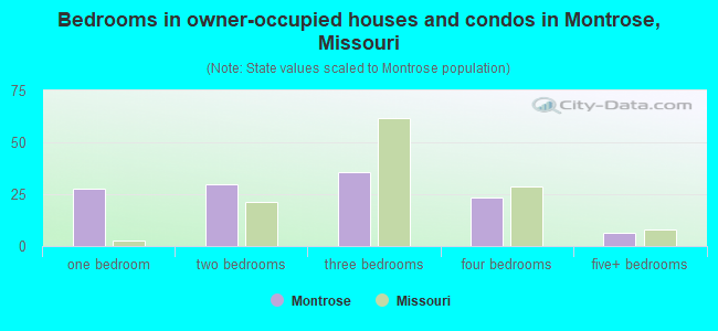 Bedrooms in owner-occupied houses and condos in Montrose, Missouri