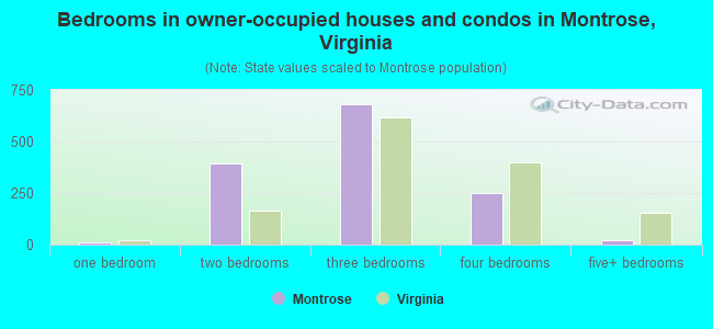 Bedrooms in owner-occupied houses and condos in Montrose, Virginia