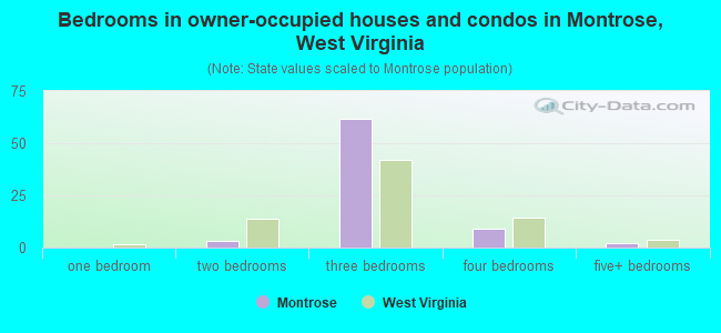 Bedrooms in owner-occupied houses and condos in Montrose, West Virginia