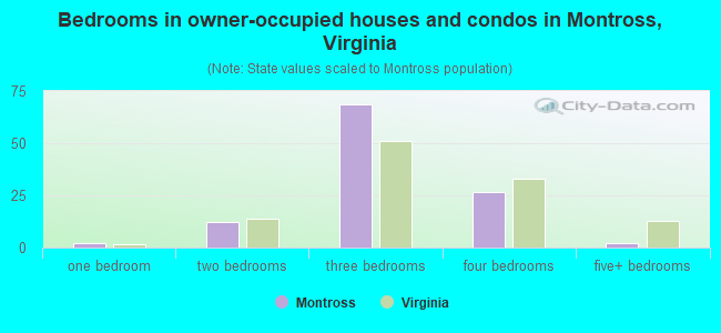 Bedrooms in owner-occupied houses and condos in Montross, Virginia