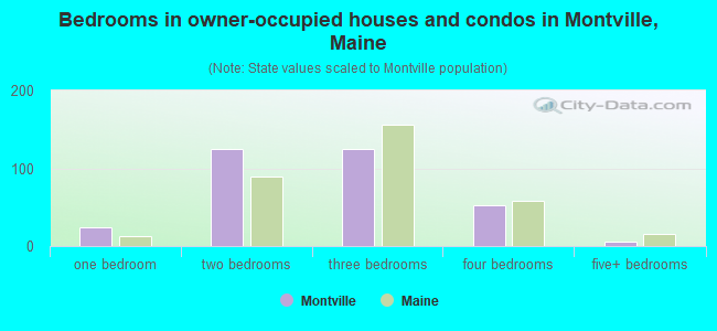 Bedrooms in owner-occupied houses and condos in Montville, Maine